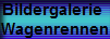 Bildergalerie 
Wagenrennen